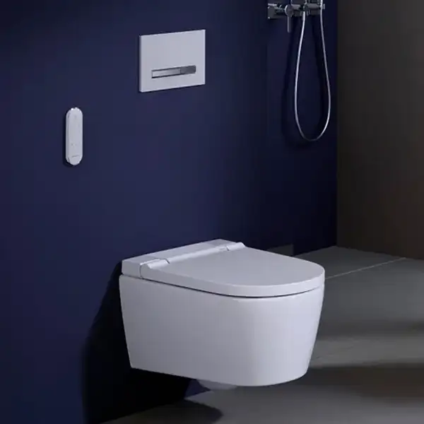 Інсталяція Geberit Duofix комплект із унітазом Kolo Idol + сидіння Soft Close  118.315.11.1