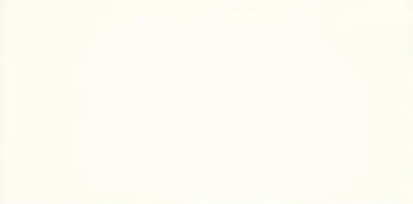 Плитка стінова Moonlight Bianco RECT 29,5x59,5 код 8776 Ceramika Paradyz (S-R-295X595-1-MOON.BI-NEB)