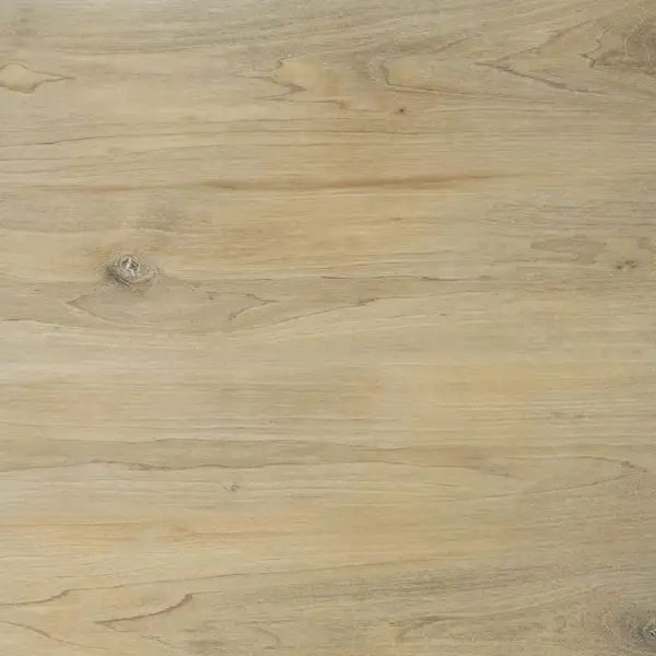 Плитка підлогова Ragaya Кремовий RECT 59,7x59,7x2 код 2189 Cerrad (5900423052189)