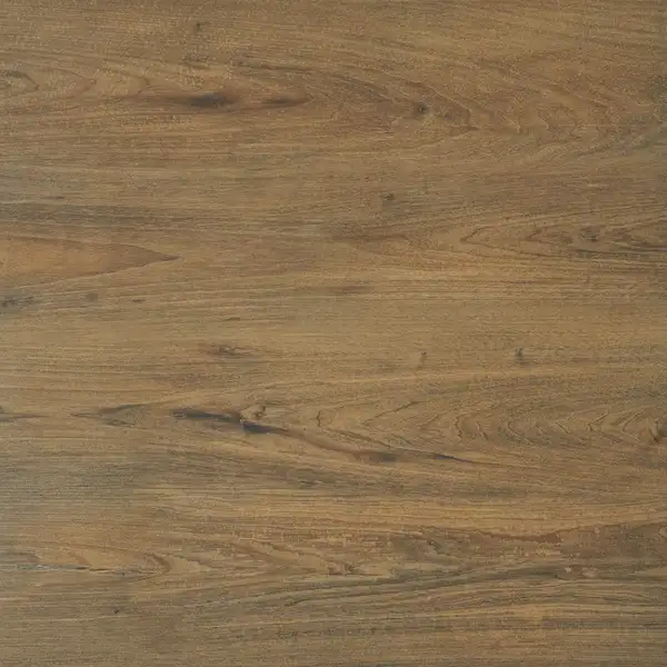 Плитка підлогова Ragaya Коричневий RECT 59,7x59,7x2 код 2240 Cerrad (5900423052240)