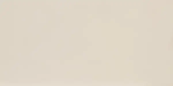 Плитка підлогова Intero Bianco RECT MAT 44,8x89,8 код 9550 Ceramika Paradyz (Q-R-448X898-1-INTE.BI)