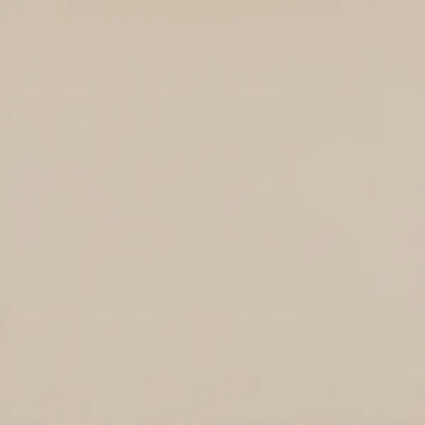 Плитка підлогова Modernizm Bianco RECT MAT 59,8x59,8 код 5108 Ceramika Paradyz (Q-R-598X598-1-MODM.BI)