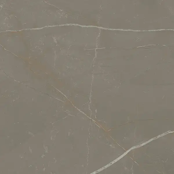 Плитка підлогова Linearstone Taupe SZKL RECT MAT 59,8x59,8 код 9238 Ceramika Paradyz (R-R-598X598-1-LINE.TA)