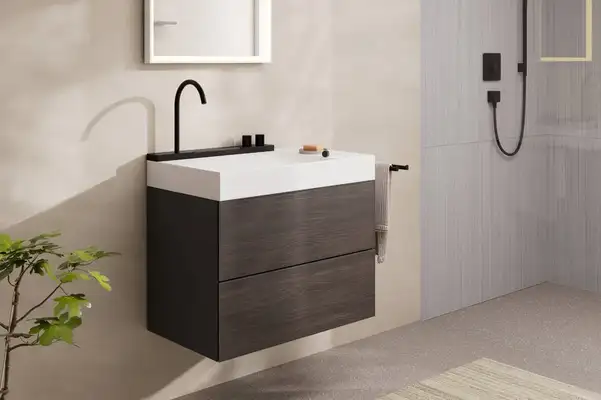 Раковина Hansgrohe Avalegra AquaUnit 78 х 47,5 х 10 см, без переливу, з функцією QuickClean+, із змішувачем, Matt Black  22473670