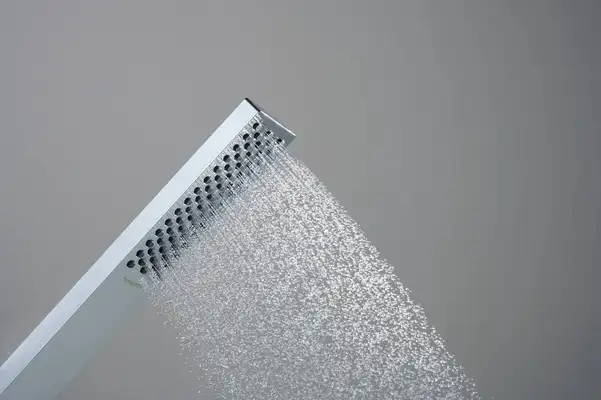 Лейка для душа Hansgrohe Pulsify E 100 1jet EcoSmart+ (цвет - хром) 24321000