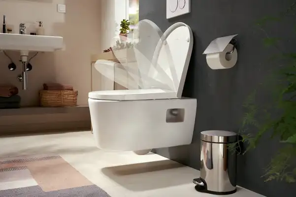 Кришка для унітазу SoftClose QuickRelease Hansgrohe EluPura Original S  60148450