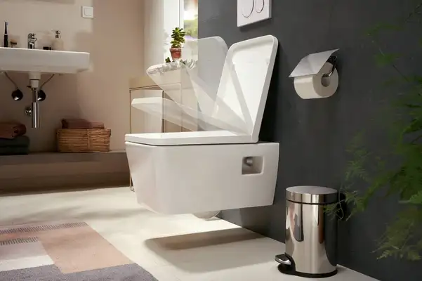 Кришка для унітазу SoftClose QuickRelease Hansgrohe EluPura Original Q  60150450
