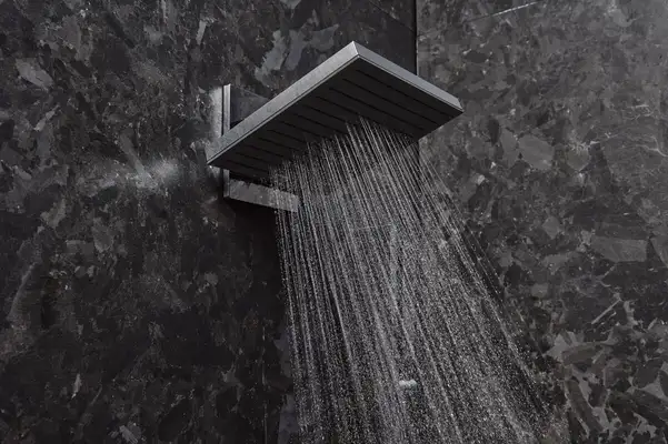 Верхній душ 260 х 260 мм Hansgrohe Pulsify E, 2 види струменя (колір - хром) 24350000