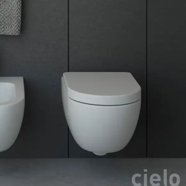 Унітаз підвісний Enjoy з кришкою Enjoy soft close (EJVSKCPVEJTF), CIELO (EJVSK+CPVEJTF)