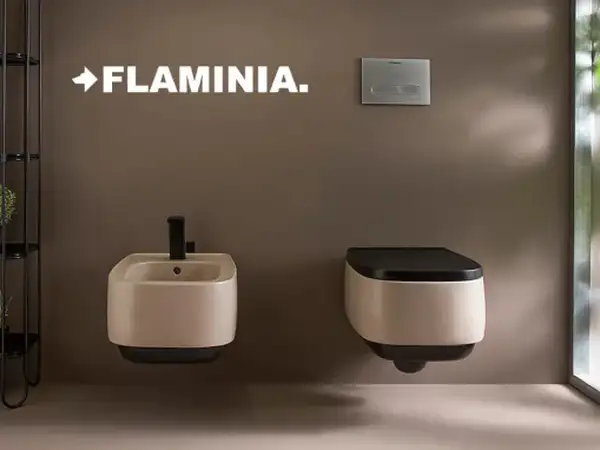 Унитаз подвесной Goclean® (безободковый) Flaminia Flag с сиденьем Soft Close, цвет - STRIPES ARGILLA OPACO+CARBONE OPACO (матовый) (FG118G+FGCW03 STRIPES ARGILLA+CARBONE)