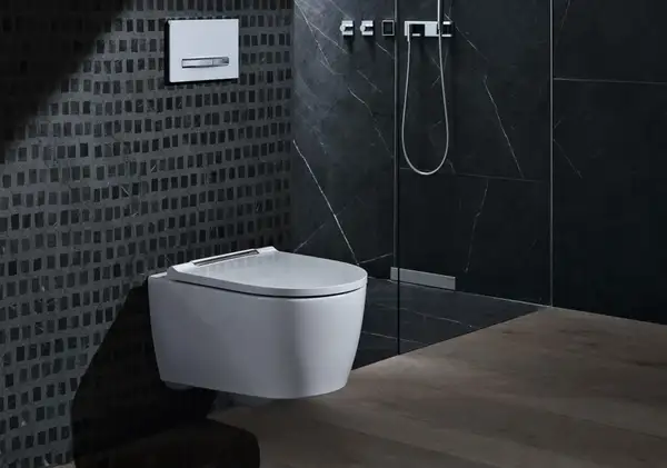 Geberit One Унитаз подвесной, белый матовый/хром (500.202.JT.1)