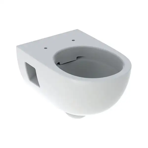GEBERIT SELNOVA унитаз подвесной 53см, воронкоподобный, Rimfree, полузакрытая форма (501.545.01.1) фото 1 Aquada.com.ua