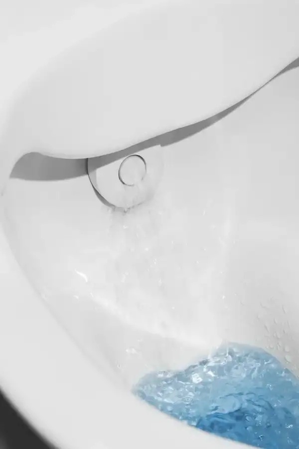 Унитаз-биде Rimless (безободковый) Laufen Cleanet Navia (сиденье в комплекте), белый матовый (820601.757.000.1) фото 11 Aquada.com.ua