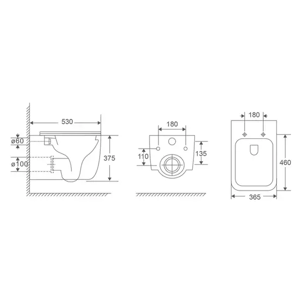 MIXXUS PREMIUM Diverse-0101-T1 Унитаз подвесной, белый (MP6477)
