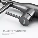 GAPPO G4398-51 кухонний змішувач, чорний (G4398-51)