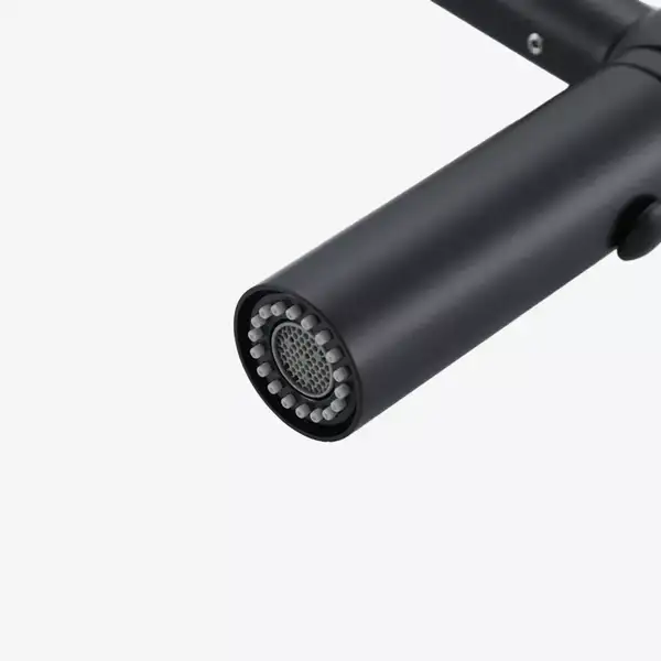 GAPPO G4098-26 Кухонний змішувач, чорний (G4098-26)