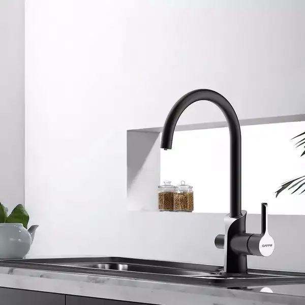 GAPPO G4303-6 змішувач кухонний, чорний (G4303-6)