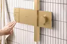 HANSGROHE Raindance Alive Q душевая, бронза (24590140)
