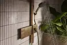 HANSGROHE Raindance Alive Q душевая, бронза (24590140)
