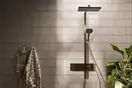 HANSGROHE Raindance Alive Q душевая, бронза (24590140)