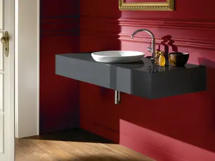 VILLEROY & BOCH Раковина полувстраиваемая Villeroy&Boch Loop & Friends Ø 430 мм (41140001) фото 2 Aquada.com.ua