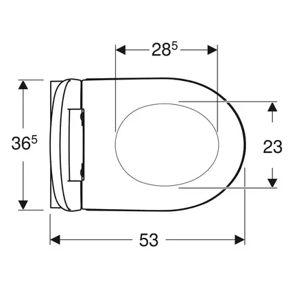 Унитаз подвесной Rimfree (безободковий) Geberit Icon, с сиденьем Soft Close (500.784.01.1) фото 4 Aquada.com.ua