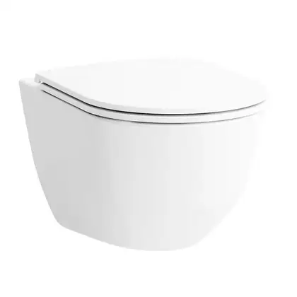 Унитаз подвесной Laufen Pro с сиденьем Slim Soft Close (H8669570000001) фото 1 Aquada.com.ua