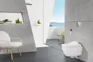 Клавиша смыва Villeroy & Boch ViConnect E300, хром матовый (92218069) фото 2 Aquada.com.ua