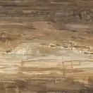 Плитка напольная Fiandre Eminent Wood Maximum Brown 150 х 150 см Lucidato (EWL0261515) фото 1 Aquada.com.ua