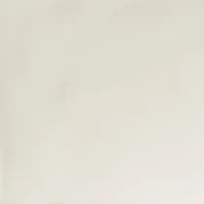 Плитка напольная Fiandre Musa+ Chalk 60 х 60 см Natural (AS225X660) фото 1 Aquada.com.ua