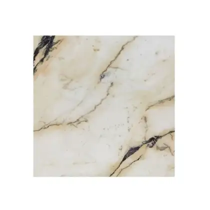 REX CERAMICHE Напольная плитка I BIANCHI REX PAONAZZETTO LUC 80X80 80X80 (734745) фото 1 Aquada.com.ua