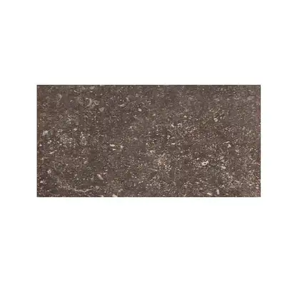 REX CERAMICHE Напольная плитка PIETRA DEL NORD FANGO ANT. NAT. 40X80 40X80 (735318) фото 1 Aquada.com.ua