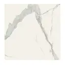 Керамогранит REX CERAMICHE REX MAGNUM Classici Statuario Glossy 160X160 (746606) фото 1 Aquada.com.ua