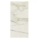 Керамогранит REX CERAMICHE REX MAGNUM Classici Calacatta Gold Soft 160х320 (750684) фото 1 Aquada.com.ua