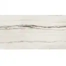 Керамогранит Rex Ceramiche Prexious White fantasy 60 х 120 см Glossy, 10 мм (755843) фото 1 Aquada.com.ua