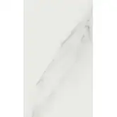 Керамическая плитка Mirage Jewels, Bianco Statuario 60x119.7 NAT, матовая (JW 01 NAT 60x119.7)