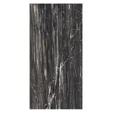 Керамогранит REX CERAMICHE REX MAGNUM Classici Brazilian Glossy 160х320 (750908)