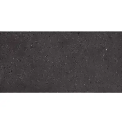 Керамическая плитка Fiandre Fjord Black 60 х 30 см Semilucidato 8 мм (AS207X836R10) фото 1 Aquada.com.ua