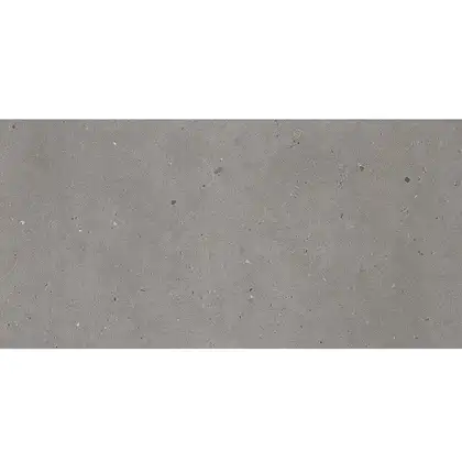 Керамическая плитка Fiandre Fjord Grey 60 х 30 см Semilucidato 11 мм (AS209X1136R10) фото 1 Aquada.com.ua