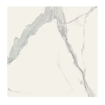 Керамогранит REX CERAMICHE REX MAGNUM Classici Statuario Glossy 120X120 (746604) фото 1 Aquada.com.ua