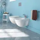 Унитаз подвесной Catalano Canova Royal с сиденьем Soft Close (1VSCRN00+5SSSTF00) фото 3 Aquada.com.ua