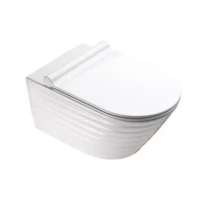 Унитаз без ободка Newflush Catalano Premium с сиденьем Soft Close (1VS55RZE00+5SCSTP000) фото 1 Aquada.com.ua