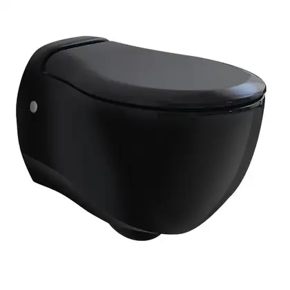ARTCERAM Унитаз подвесной ArtCeram Blend с сиденьем Soft Close, чёрный (BLV001 03;00+BLA006 03) фото 1 Aquada.com.ua