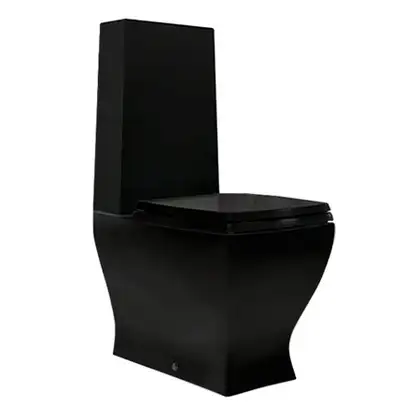 ARTCERAM Унитаз-компакт ArtCeram Jazz с сиденьем Soft Close, чёрный (JZV003 03;00+JZA006 03) фото 1 Aquada.com.ua