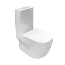 Унитаз-компакт NoRim (безободковый) AXA Wild, с сиденьем Soft Close (3001501+3005101+AF301+AF301) фото 1 Aquada.com.ua