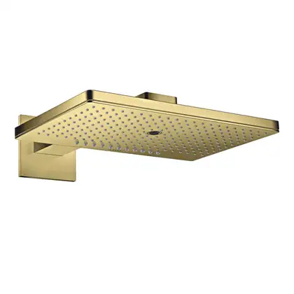 Верхний душ 460 х 300 мм Axor ShowerSolutions (цвет - полированное золото), 3 вида струи (35282990) фото 1 Aquada.com.ua