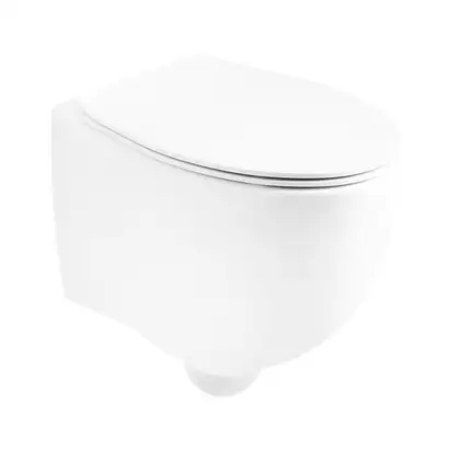 Унитаз подвесной Simas Bormio с сиденьем Soft Close (BR18/F85+BR006) фото 1 Aquada.com.ua