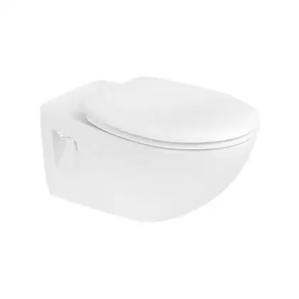 Унитаз подвесной с вертикальным смывом Duravit Duraplus с сиденьем для унитаза Soft Close (2547090000+0064290000) фото 1 Aquada.com.ua
