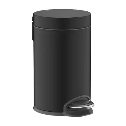 Мусорное ведро Hansgrohe AddStoris, чёрный матовый (41775670) фото 1 Aquada.com.ua