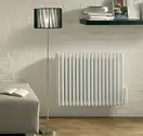 Электрический трубчатый радиатор Zehnder Charleston (NZ-060-053/GF) фото 1 Aquada.com.ua